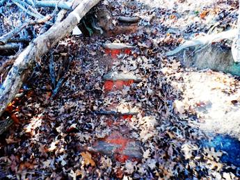 George Ferris, garbage,environment, lake Lanier, shore sweep, adopt a shoreline, glass, plastic, clean up, Georgia, pollution, green, air, mother earth,  docks, boating, sailing,water, skiing,boarding, recycling, boards, rock stairs, Martin Wing